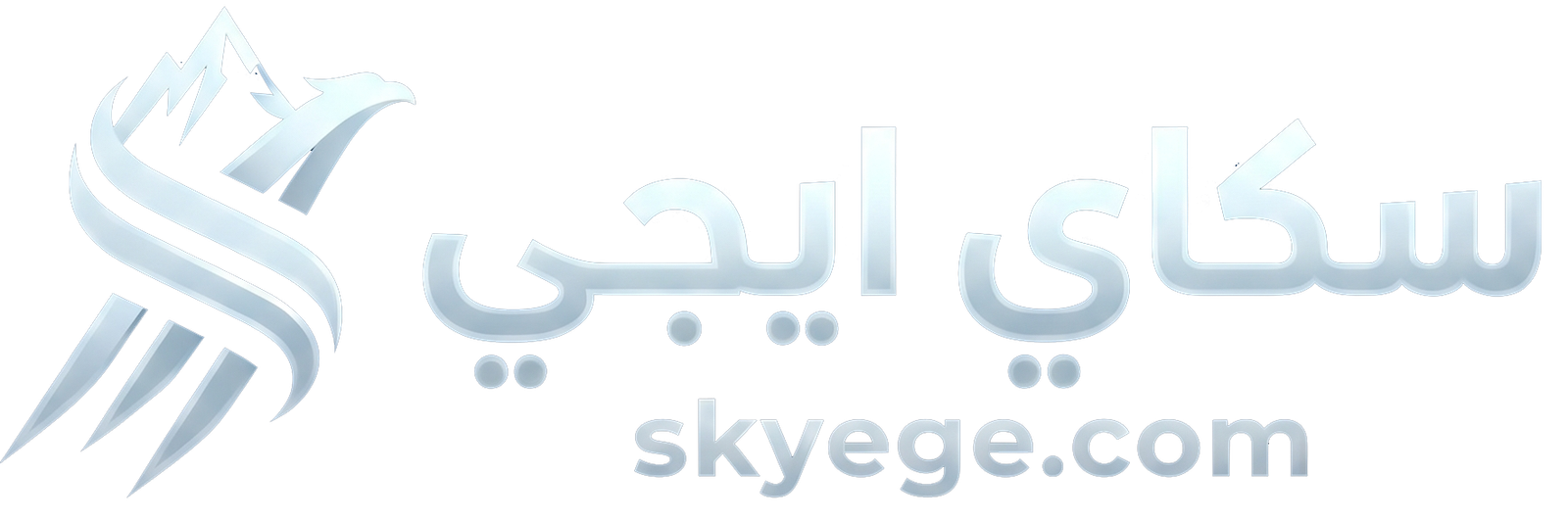 سكاي ايجي